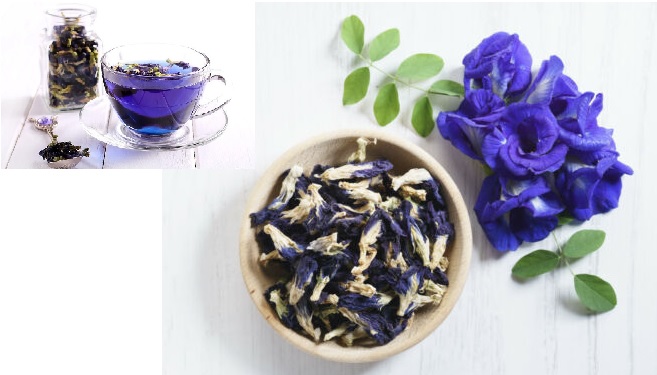 Butterfly Pea
