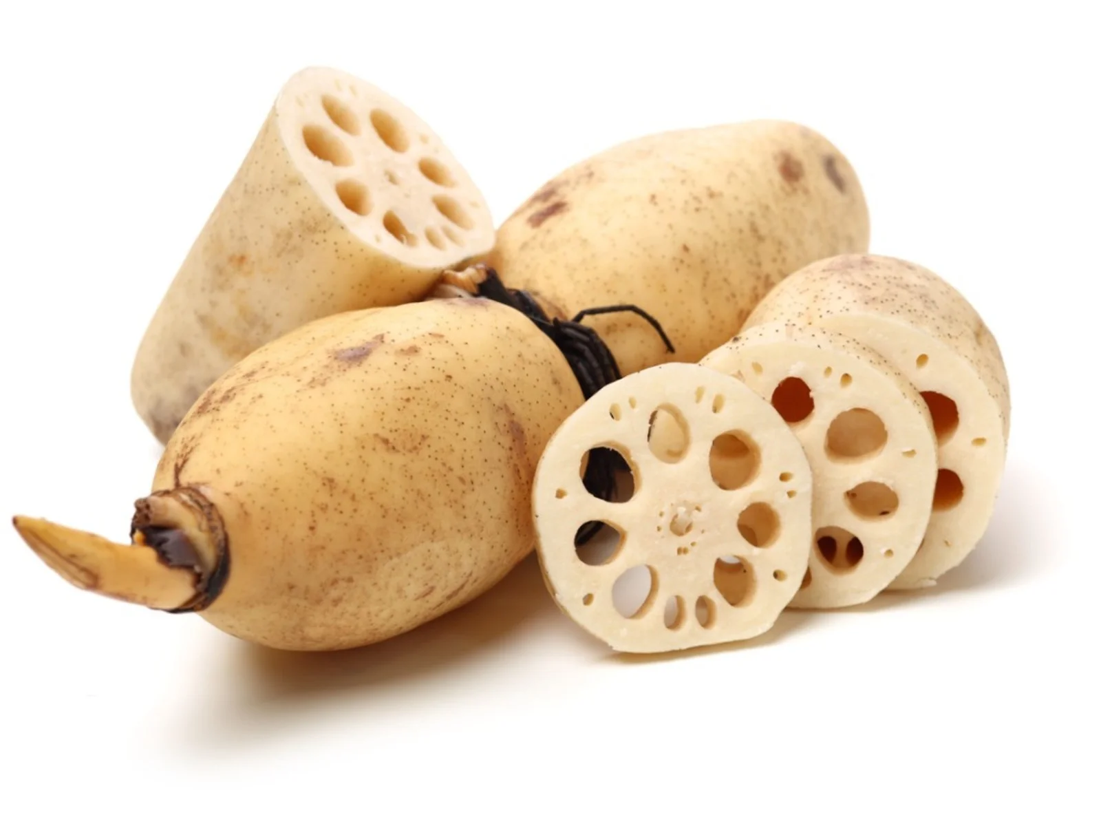 lotus-root